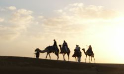 executive retreats, team building, Dubai
