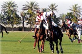 polo team building