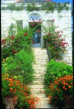 team building, executive retreats, Jamaica