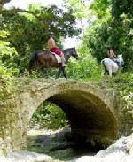 Jamaica, equestrian, horse riding, beach ride