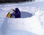 Corporate Retreats, survivor, snowshoeing, dog sledding Toronto, Ontario, Canada