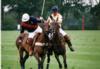 polo team building, executive retreats, Jamaica