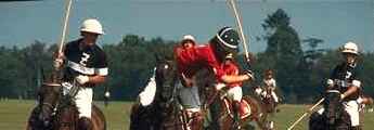 polo team building