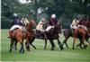 Jamaica, polo teambuilding, executive retreats