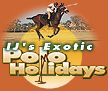 executive retreats polo team building India Asia Dubai
