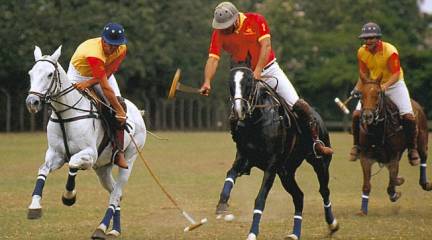 polo team building