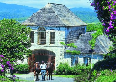 Survivor, team building, Jamaica