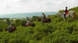 Survivor team building, equestrian