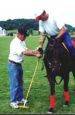 team building, polo, Toronto, Ontario, Canada